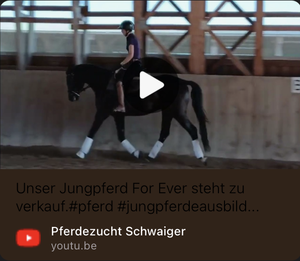 For Ever LF auf YouTube