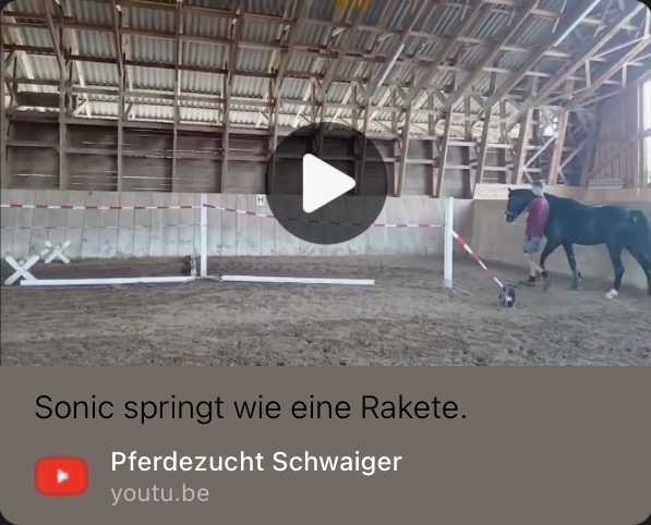 Sonic auf YouTube