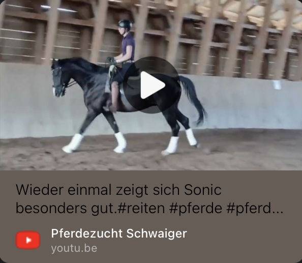 Sonic auf YouTube