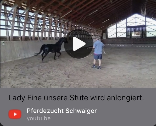 Lady Fine auf YouTube