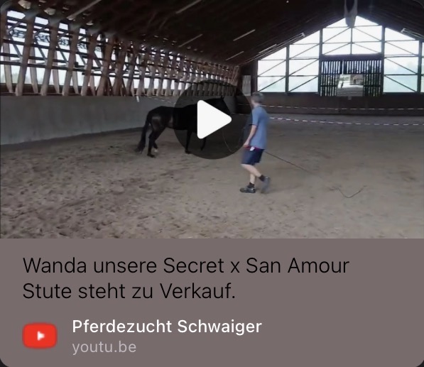 Wanda auf YouTube