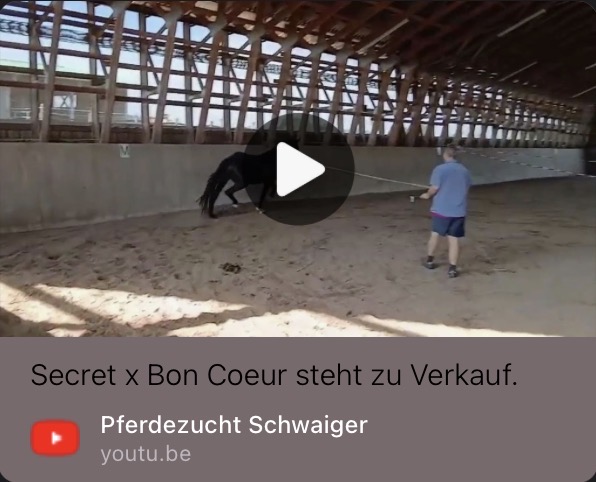 Slash auf YouTube